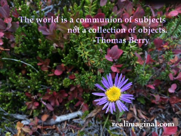 "The world is a communion of subjects, not a collection of objects." -Thomas Berry